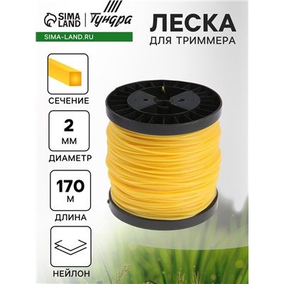 Леска для триммера ТУНДРА, сечение квадрат, d=2 мм, 170 м, нейлон