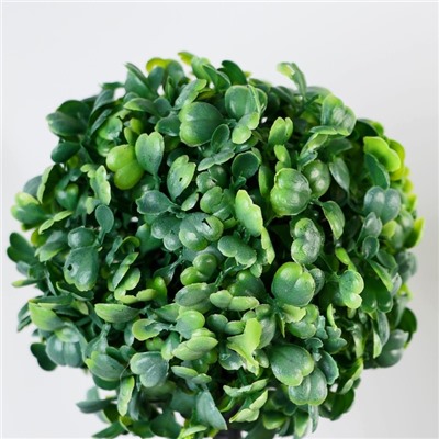 Искусственный цветок в горшке «Толстянка», 8.5×22 см