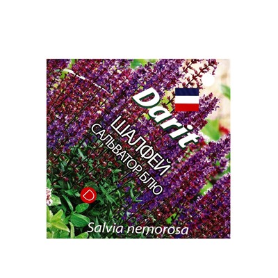 Семена цветов Шалфей дубравный Сальватор Блю Дарит 7шт