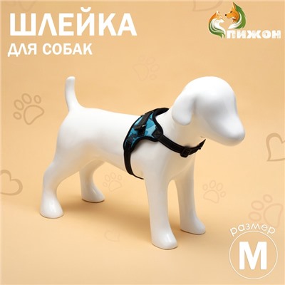Шлейка К7 мягкая светоотражающая, размер М, ОГ 52-66 см, вес 9.5-17.5 кг, голубая хаки