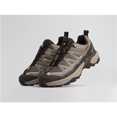 Кроссовки Salomon X Ultra 360