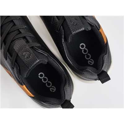 Кроссовки Ecco Biom