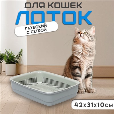 Лоток большой с сеткой Atlantis «Стандарт», 42×31×10 см, серый