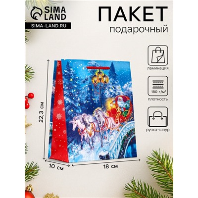 Пакет подарочный новогодний ламинированный, «На встречу Новому Году», 18×10×22.3 см