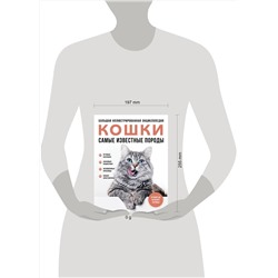 Эксмо Алина Ярощук, Людмила Романова "Самые известные породы. КОШКИ. Большая иллюстрированная энциклопедия"