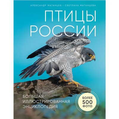 Эксмо Александр Матанцев "Птицы России. Большая иллюстрированная энциклопедия"