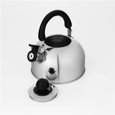 Чайник Доляна «Чёрная ночь», 2 л, со свистком, индукция, нержавеющая сталь, хромированный