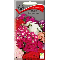 Флокс Красивый Гном (одн) (П)