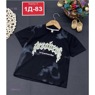 Футболка 1756112-3