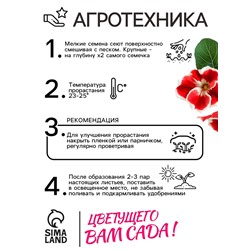 Семена комнатных цветов Глоксиния Аванти "Красная с белым краем", ц/п,  8 шт.