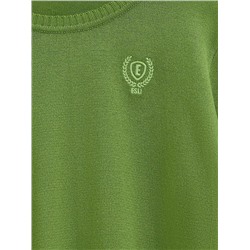 Джемперы ESLI Джемпер для мальчиков 16С-32СП