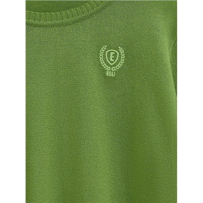 Джемперы ESLI Джемпер для мальчиков 16С-32СП