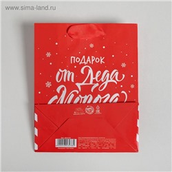 Пакет подарочный новогодний ламинированный «Подарок от Деда Мороза», S 12×15×5.5 см