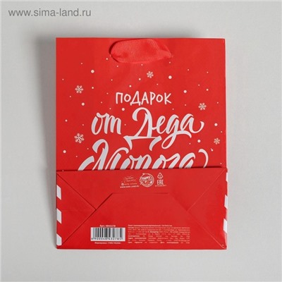 Пакет подарочный новогодний ламинированный «Подарок от Деда Мороза», S 12×15×5.5 см