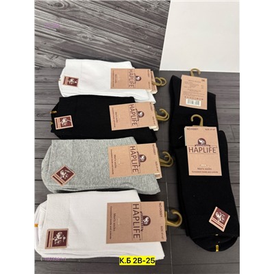 Носки мужские 10 пар 1903381-1