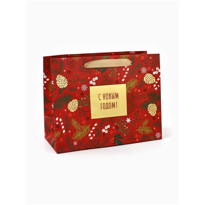 Пакет подарочный новогодний ламинированный «С Новым годом», MS 23×18×10 см