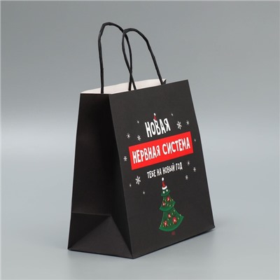 Пакет подарочный новогодний крафтовый «Нервы», 22×22×11 см