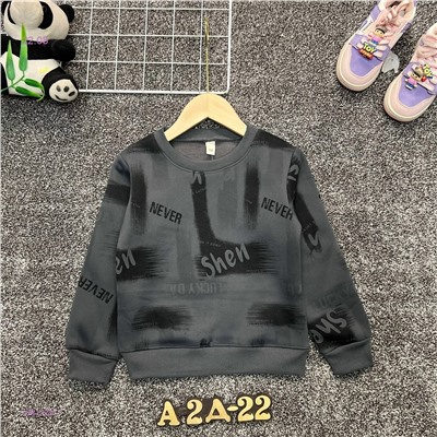 Толстовка 1981329-1