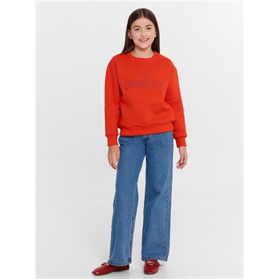 СВИТШОТ ДЛЯ ДЕВОЧЕК 127881/1