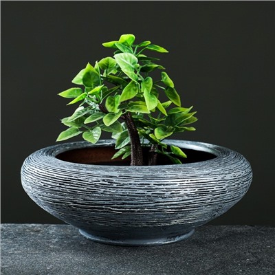 Кашпо для цветов «Плошка», 1.4 л, d=22 см, h=8 см, керамика, серое