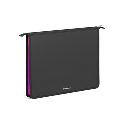 Папка для тетрадей А4 на молнии сверху Matt Accent ассорти 55049 ErichKrause