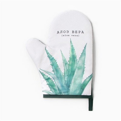 Варежка-прихватка «Алоэ вера», 20×27 см,100% п/э