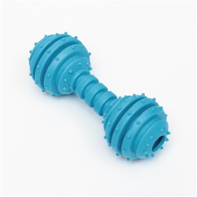 Игрушка жевательная «Чемпион», TPR, 12.5 см, голубая