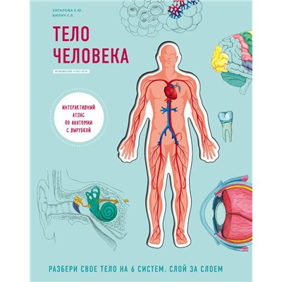 Эксмо Билич Г.Л., Зигалова Е.Ю. "Тело человека. Интерактивный атлас по анатомии с вырубкой. Разбери свое тело на 6 систем. Слой за слоем"