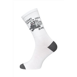 БРЕСТСКИЕ Носки 4201