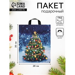 Пакет новогодний «Зимняя красавица», полиэтиленовый с петлевой ручкой, 28×35 см, 50 мкм