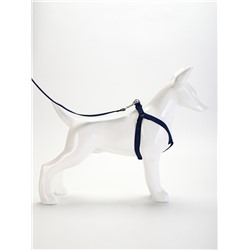 Комплект амуниции рельефный, поводок 120×1.5 см, ОГ 36-49 см, сине-чёрный