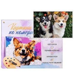 Холст с красками 40х50 по номерам (в коробке) (30цв.) "Два улыбающихся корги"