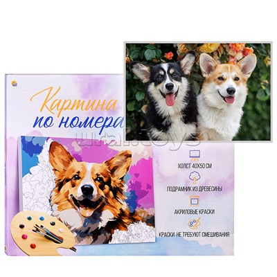 Холст с красками 40х50 по номерам (в коробке) (30цв.) "Два улыбающихся корги"
