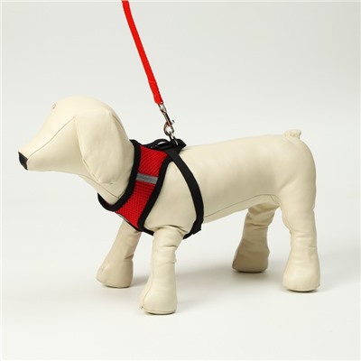 Шлейка с поводком, размер M, ОШ 26, ОГ 36-44, с светоотражающей нашивкой, мягкая, красная