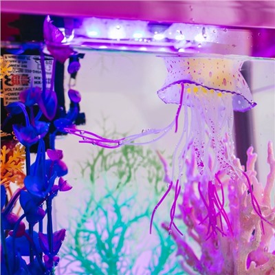 Коралл пластиковый малый 17×6×13 см, розовый