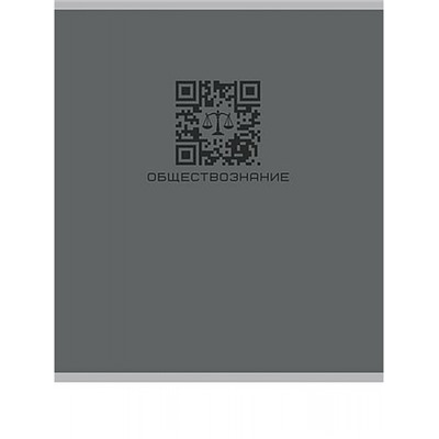 Тетрадь 48л "КЬЮАР-КОД" по обществознанию 48-9937 Проф-Пресс