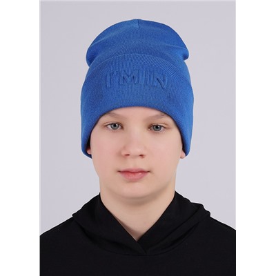 CLEVER Шапка