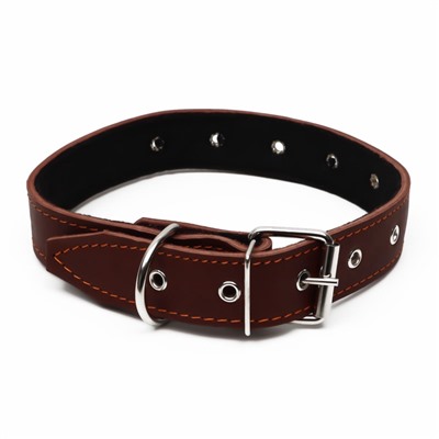 Ошейник кожаный на синтепоне, безразмерный, 71×3.5 см, ОШ 29-62 см, коричневый