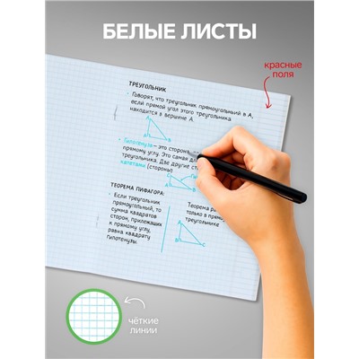 Комплект тетрадей 5 штук, 36 листов в клетку Calligrata «Времена года», обложка мелованный картон, блок офсет