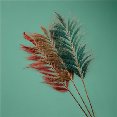 Сухоцвет на бамбуковом стебле, 250 см, зелёный