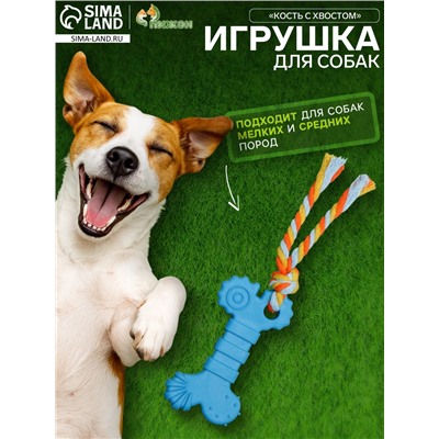 Игрушка жевательная с канатом «Кость с хвостом», синяя