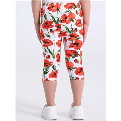 Апрель Бриджи 2ДБР5716809н