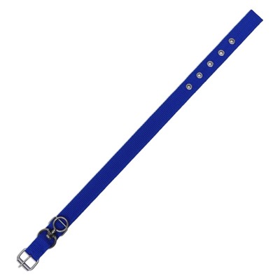 Ошейник двухслойный с вертлюгом, 55×2.5 см, полиэстер, синий