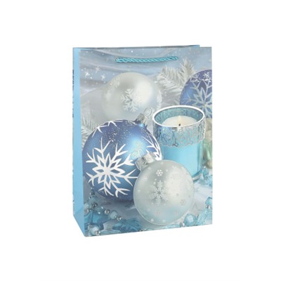 Пакет подарочный 18х24х8.5 / 10220-S /уп 12/720/Новый год микс