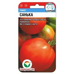 Томат Санька (Сиб сад)