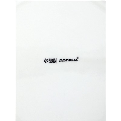 Тарелки обеденные Доляна White Label, набор 4 шт., d=25 см, фарфор, белые