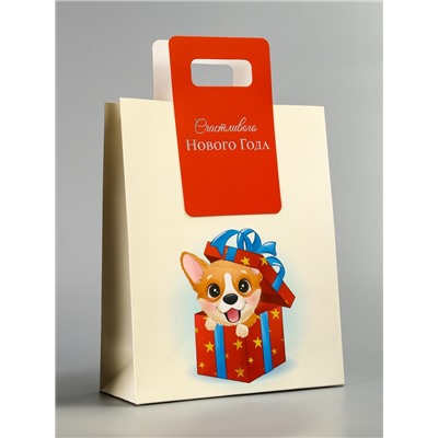 Пакет подарочный новогодний, с вырубной ручкой «Лучший подарок» 18×23×9 см