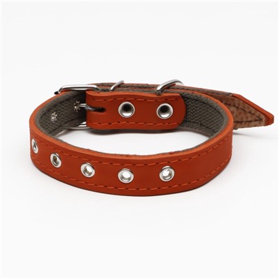 Ошейник комбинированный кожа/брезент, безразмерный, 54×2.5 см, ОШ 17-45 см, рыжий