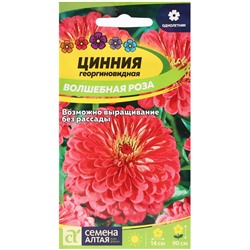 Семена цветов Цинния "Волшебная Роза", ц/п,  О, ц/п, 0,3 г.
