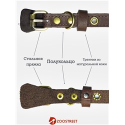 Ошейник безразмерный, 35×1.5 см, с подпряжником, кожа, коричневый